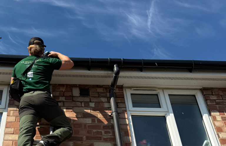 Neat Garden A neat looking garden