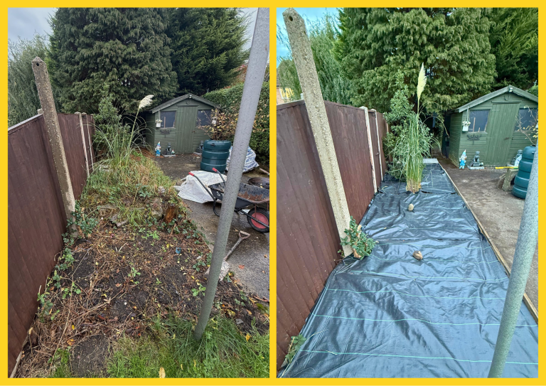 Ground preparation before and after of ground preparation and removal of weeds