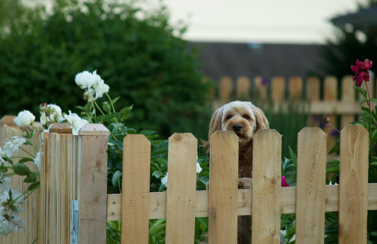 tools and paint tools and paint pots showing handyman services are available